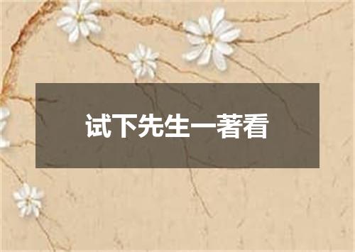 试下先生一著看