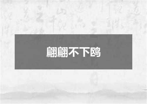 翩翩不下鸥