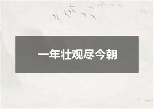 一年壮观尽今朝