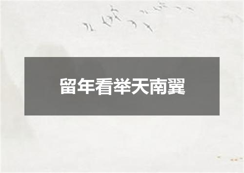 留年看举天南翼