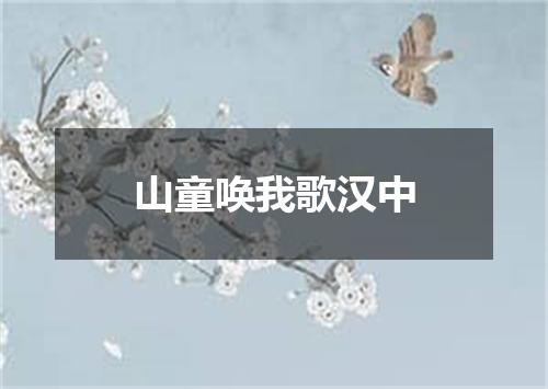 山童唤我歌汉中