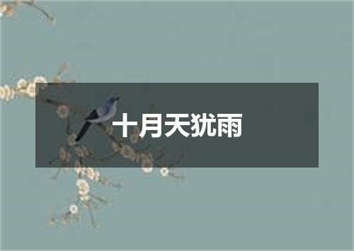 十月天犹雨