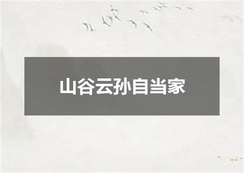 山谷云孙自当家