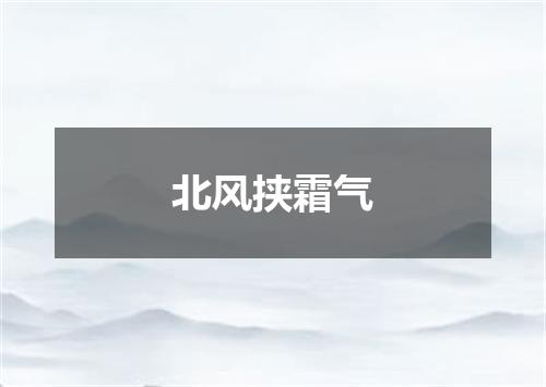 北风挟霜气
