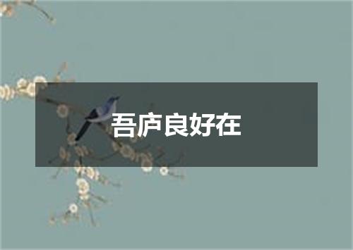 吾庐良好在