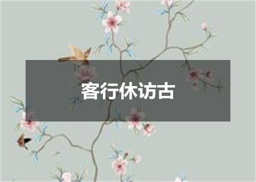 客行休访古