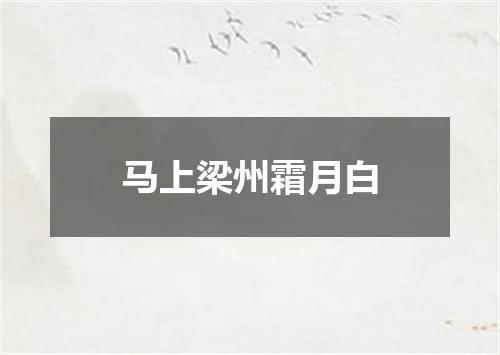 马上梁州霜月白