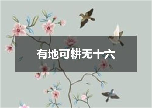 有地可耕无十六
