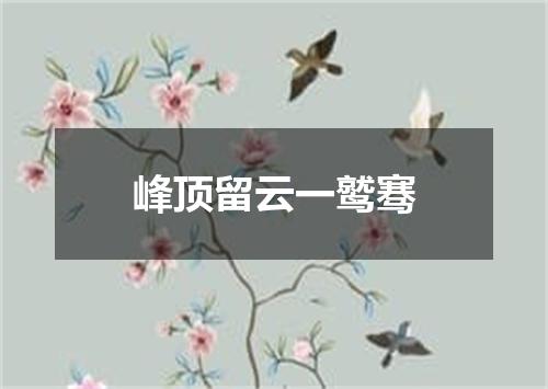 峰顶留云一鹫骞