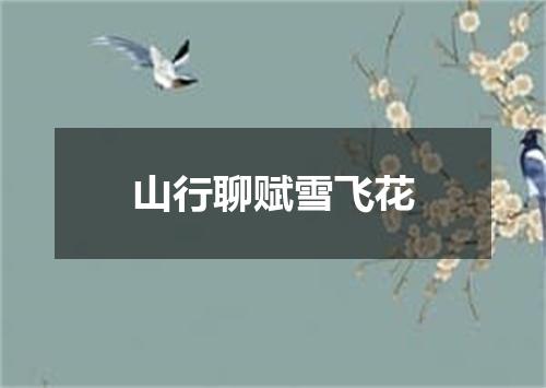 山行聊赋雪飞花