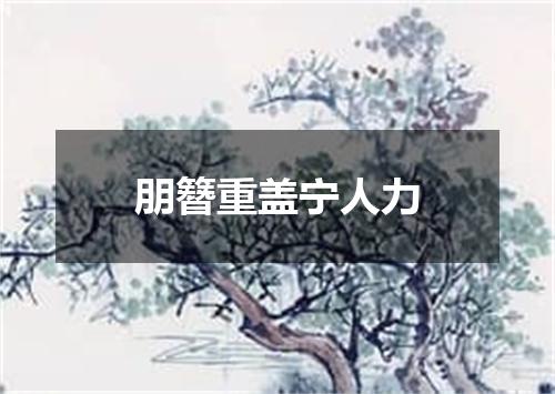 朋簪重盖宁人力
