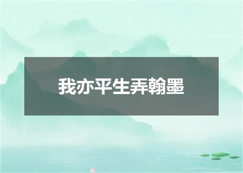 我亦平生弄翰墨