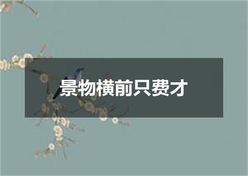 景物横前只费才