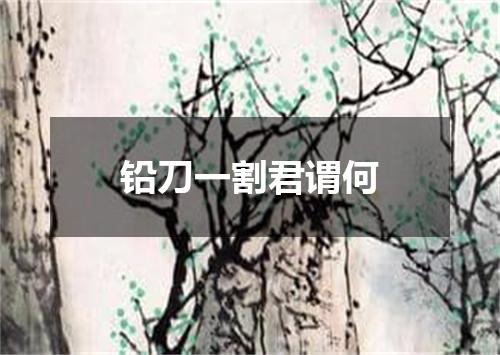 铅刀一割君谓何