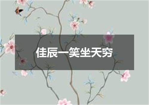 佳辰一笑坐天穷