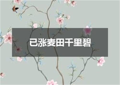已涨麦田千里碧