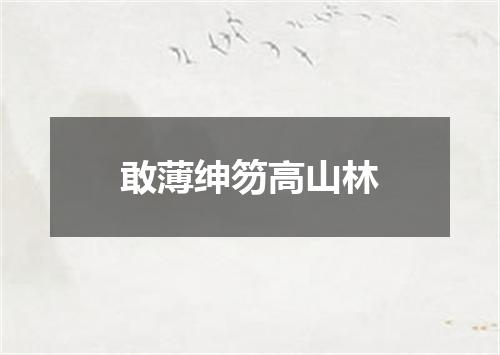 敢薄绅笏高山林