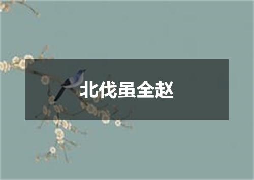 北伐虽全赵