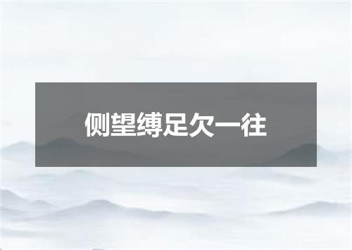 侧望缚足欠一往