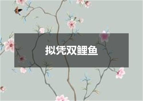 拟凭双鲤鱼
