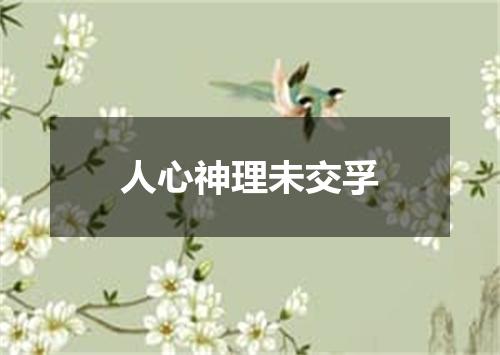 人心神理未交孚