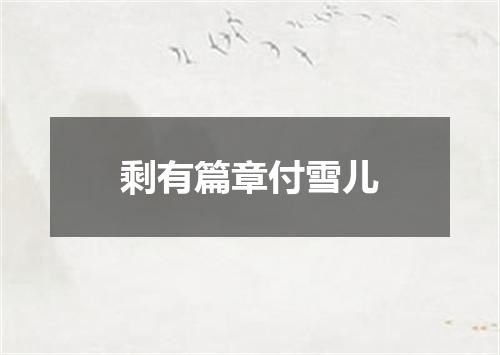 剩有篇章付雪儿