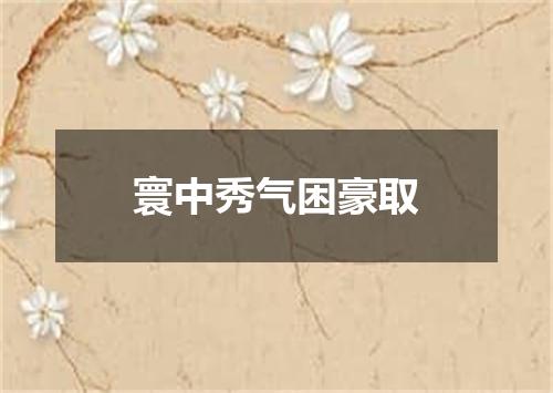 寰中秀气困豪取
