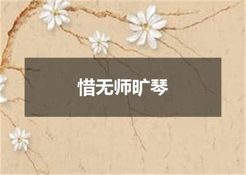 惜无师旷琴