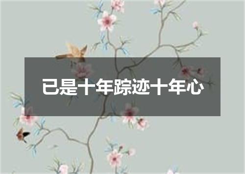 已是十年踪迹十年心