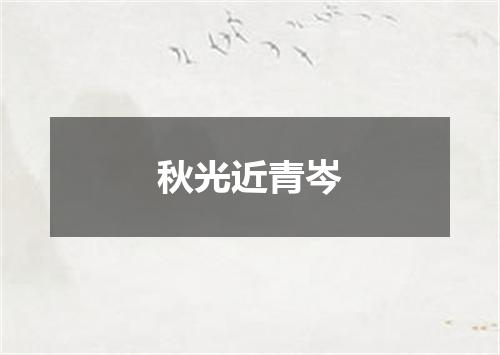 秋光近青岑
