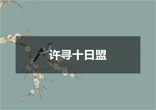 许寻十日盟