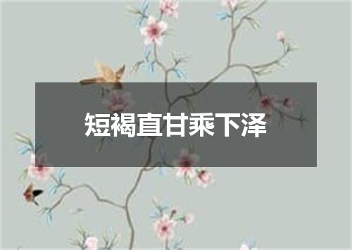 短褐直甘乘下泽