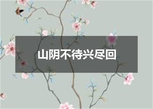 山阴不待兴尽回