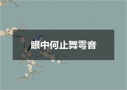 眼中何止舞雩音