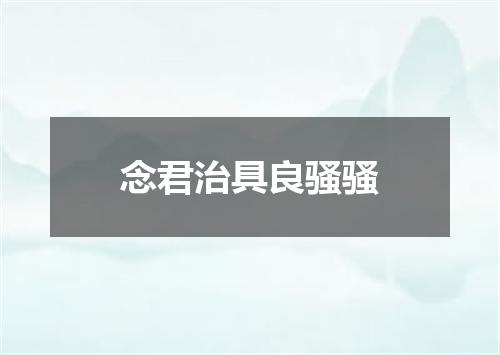 念君治具良骚骚