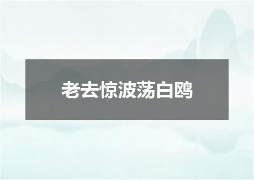 老去惊波荡白鸥
