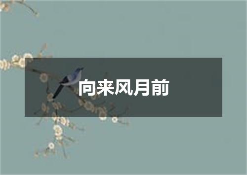向来风月前