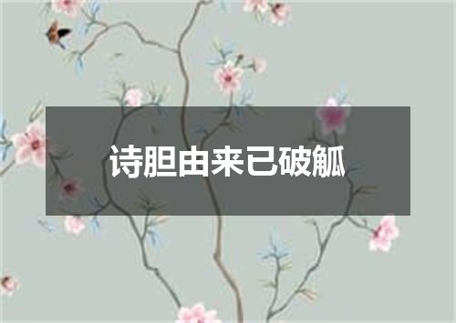 诗胆由来已破觚