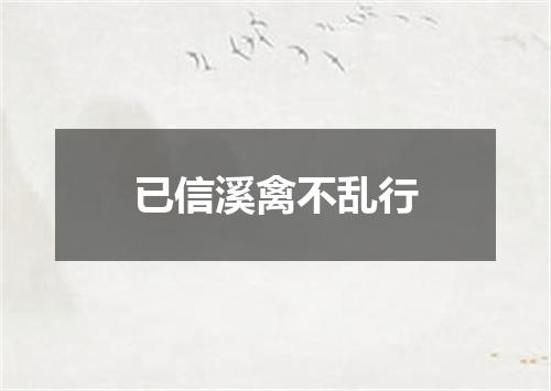 已信溪禽不乱行