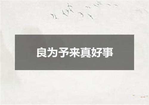 良为予来真好事