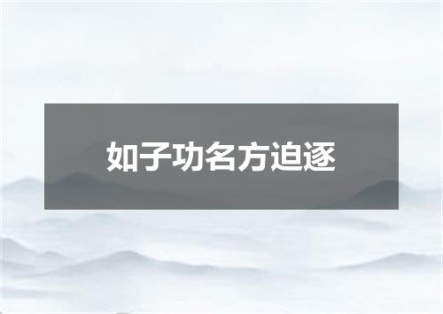 如子功名方迫逐