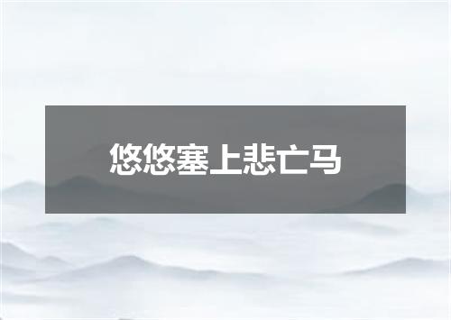 悠悠塞上悲亡马