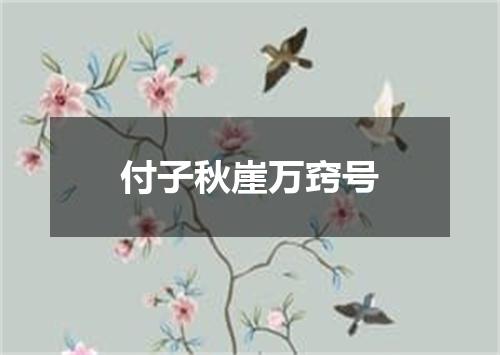 付子秋崖万窍号