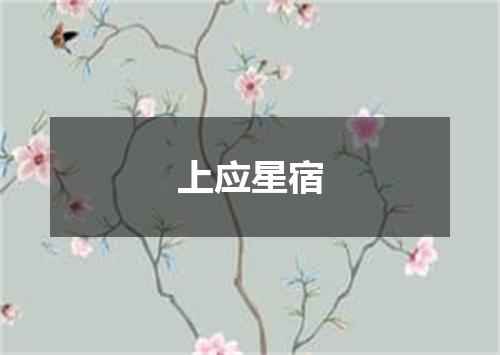 上应星宿