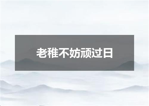 老稚不妨顽过日