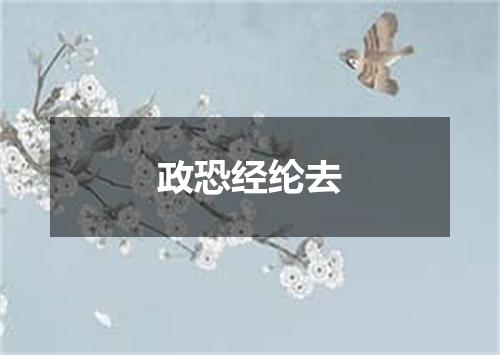 政恐经纶去