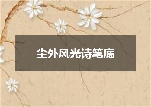 尘外风光诗笔底