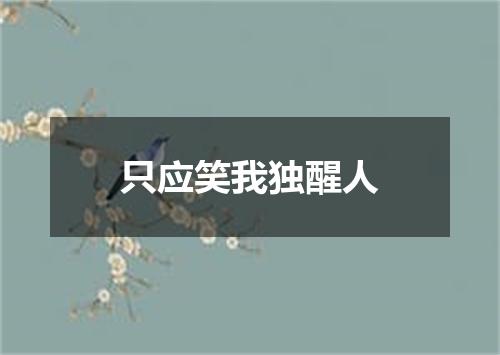 只应笑我独醒人