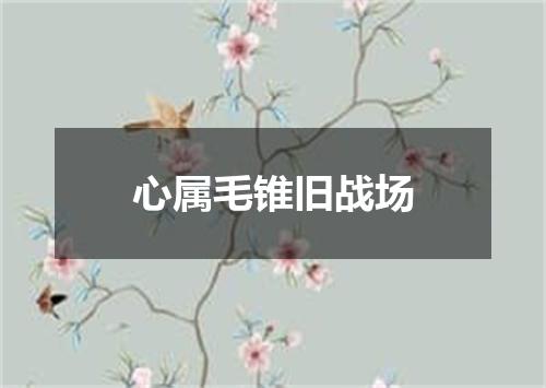 心属毛锥旧战场