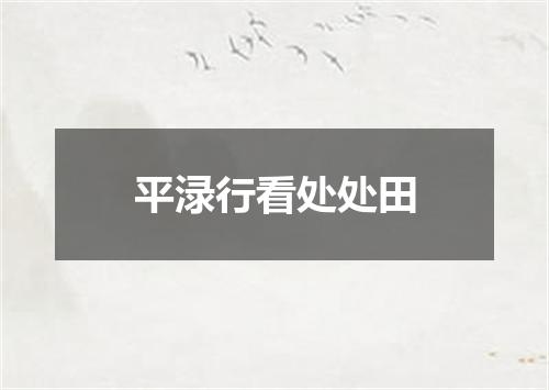 平渌行看处处田